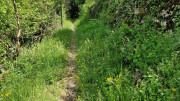 Sorbs_25_05-182