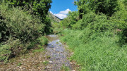 Sorbs_25_05-184