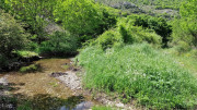 Sorbs_25_05-186