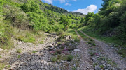 Sorbs_25_05-19