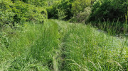 Sorbs_25_05-190