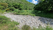 Sorbs_25_05-192