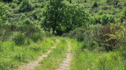 Sorbs_25_05-196