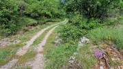 Sorbs_25_05-22