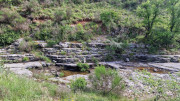 Sorbs_25_05-26