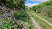 Sorbs_25_05-27