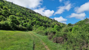 Sorbs_25_05-29