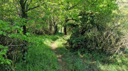 Sorbs_25_05-39