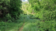 Sorbs_25_05-4