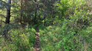 Sorbs_25_05-40