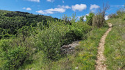 Sorbs_25_05-42