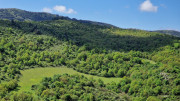 Sorbs_25_05-46