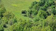 Sorbs_25_05-47