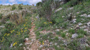 Sorbs_25_05-49