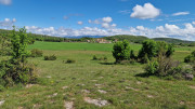 Sorbs_25_05-51