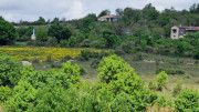 Sorbs_25_05-55
