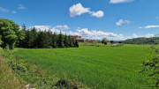 Sorbs_25_05-62