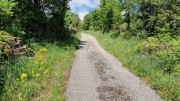 Sorbs_25_05-69