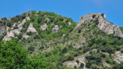 Sorbs_25_05-7
