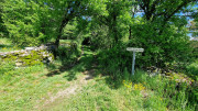 Sorbs_25_05-70