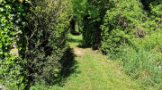 Sorbs_25_05-72