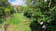 Sorbs_25_05-74