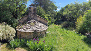 Sorbs_25_05-77