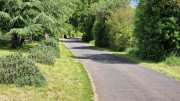 Sorbs_25_05-78