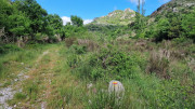 Sorbs_25_05-8