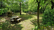 Sorbs_25_05-80