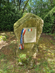 Sorbs_25_05-81