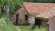 Sorbs_25_05-86