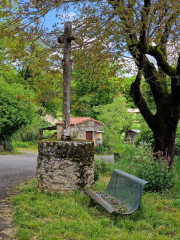 Sorbs_25_05-88
