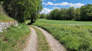 Sorbs_25_05-98