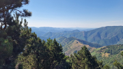 Aigoual_26_06-100