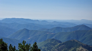 Aigoual_26_06-101