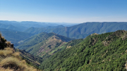 Aigoual_26_06-104