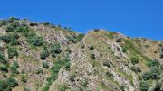 Aigoual_26_06-107