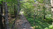Aigoual_26_06-108