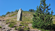 Aigoual_26_06-109
