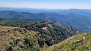Aigoual_26_06-113