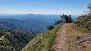 Aigoual_26_06-115