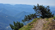 Aigoual_26_06-116