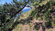 Aigoual_26_06-117