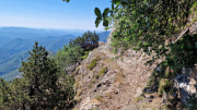 Aigoual_26_06-119
