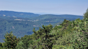 Aigoual_26_06-123