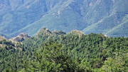 Aigoual_26_06-126