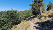 Aigoual_26_06-127