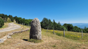 Aigoual_26_06-130