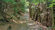 Aigoual_26_06-131
